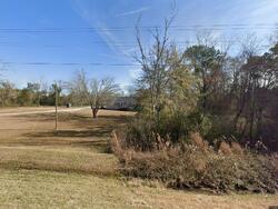 Pre-foreclosure in  Egg And Butter Rd N Ochlocknee, GA 31773