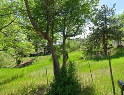 Pre-foreclosure in  Pawnee Ave Manitou Springs, CO 80829