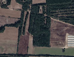 Pre-foreclosure in  Red Fox Rd Olar, SC 29843