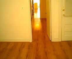 Pre-foreclosure Listing in Putnam Ave RIDGEWOOD, NY 11385