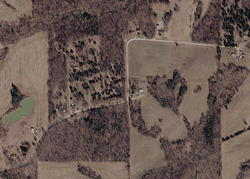 Pre-foreclosure in  Pleasant Ridge Rd Vienna, IL 62995