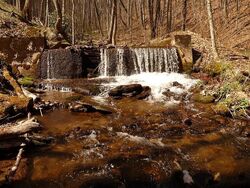 Pre-foreclosure in  Baconton Cv Waynesville, NC 28786