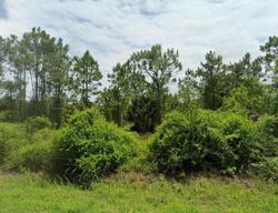 N Trebol St, Clewiston FL