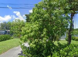 Pre-foreclosure in  Hayes St Hollywood, FL 33020