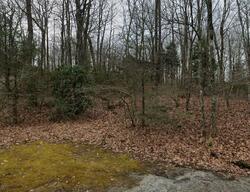 Pre-foreclosure in  Fallen Leaf Trl Highlands, NC 28741