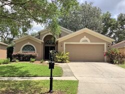 Pre-foreclosure in  Portobello Cir Valrico, FL 33596