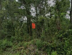  Crawfordville Hwy, Crawfordville FL