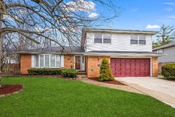 Pre-foreclosure in  Charlene Ln Schaumburg, IL 60193