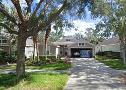  Gannetglade Ln, Lithia FL