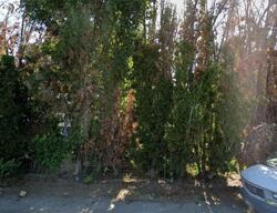 Pre-foreclosure in  War Eagle Rd Caldwell, ID 83607