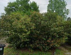 Pre-foreclosure in  Quail Run Buda, TX 78610