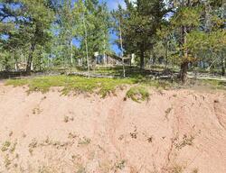 Pre-foreclosure in  Edlowe Rd Woodland Park, CO 80863