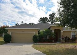Pre-foreclosure in  Verde Ct Clermont, FL 34711