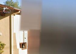 Pre-foreclosure in  Walnut St Alameda, CA 94501