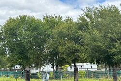  Crescent Ave, Labelle FL