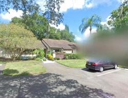 Pre-foreclosure in  Fig Ct Palm Harbor, FL 34684