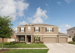  Scribner Station Ln, Lithia FL