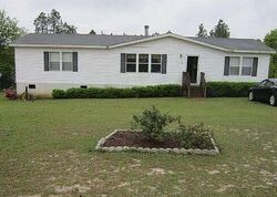 Pre-foreclosure in  Bush Berry Rd Pelion, SC 29123