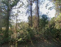 Buffalo Grove Dr, Palm Coast FL