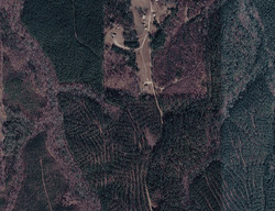 Pre-foreclosure in  Moncus Rd Cragford, AL 36255