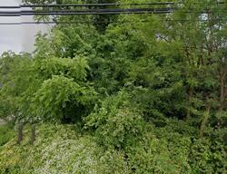 Pre-foreclosure in  Perryman Rd Aberdeen, MD 21001