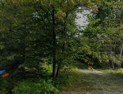 Pre-foreclosure in  S Swan Lake Rd Pengilly, MN 55775