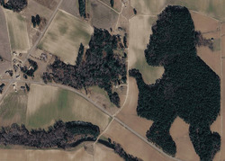 Pre-foreclosure in  Horseshoe Ln Wilson, NC 27896