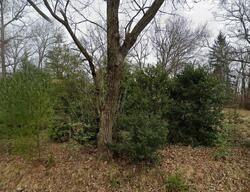 Pre-foreclosure in  Mergans Ln Hendersonville, NC 28791