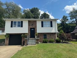 Pre-foreclosure in  N 7th Ave Paden City, WV 26159