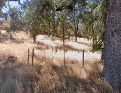Pre-foreclosure in  Scotts Valley Rd Lakeport, CA 95453