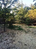 Pre-foreclosure in  Fallmeadow Dr Frisco, TX 75034