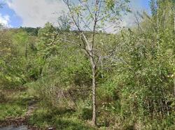 Pre-foreclosure in  Cowpasture River Hwy Millboro, VA 24460