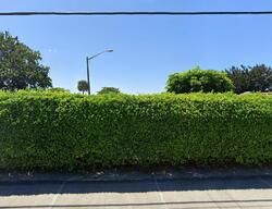 Pre-foreclosure in  Seville H Delray Beach, FL 33446