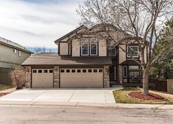 Pre-foreclosure in  N Blazingstar Trl Castle Rock, CO 80109