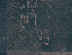 Pre-foreclosure in  Runyon Ln Tallahassee, FL 32305