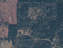 Pre-foreclosure in  Grady Simons Rd Sikes, LA 71473