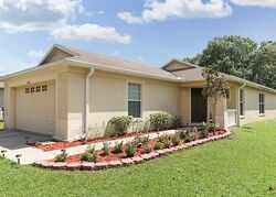 Cypress Bay Pkwy, Land O Lakes FL