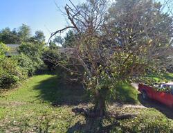 Pre-foreclosure in  Valewood Dr Shreveport, LA 71109