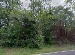Pre-foreclosure in  James Moore Rd Port Norris, NJ 08349