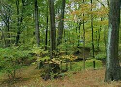 Pre-foreclosure in  Wilder Rd Suffern, NY 10901
