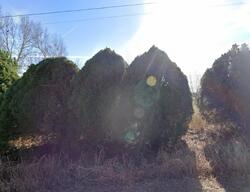 Pre-foreclosure in  County Road 1390 Chickasha, OK 73018