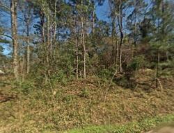 Pre-foreclosure in  Austin Rd Willis, TX 77378