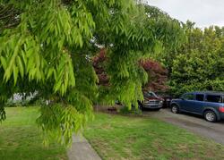 Pre-foreclosure in  Boblett St Blaine, WA 98230