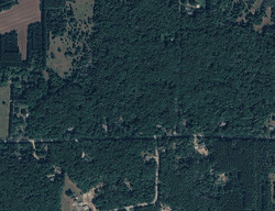 Pre-foreclosure in  Czech Ave Neshkoro, WI 54960