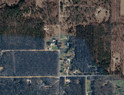 Pre-foreclosure in  N AMY SCHOOL RD Howard City, MI 49329