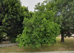 Pre-foreclosure in  Fuerte Dr Walnut, CA 91789