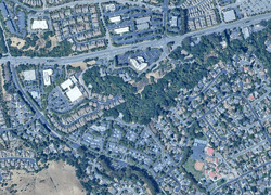  Forest Creek Ln, San Ramon CA