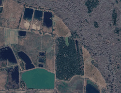  Ken Holyoak Rd, Alapaha GA