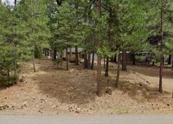 Pre-foreclosure in  Bambi Dr Shingletown, CA 96088