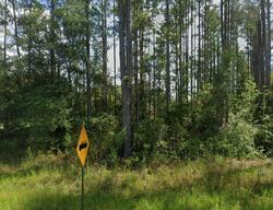 Pre-foreclosure in  Nw Mershon St Lake City, FL 32055